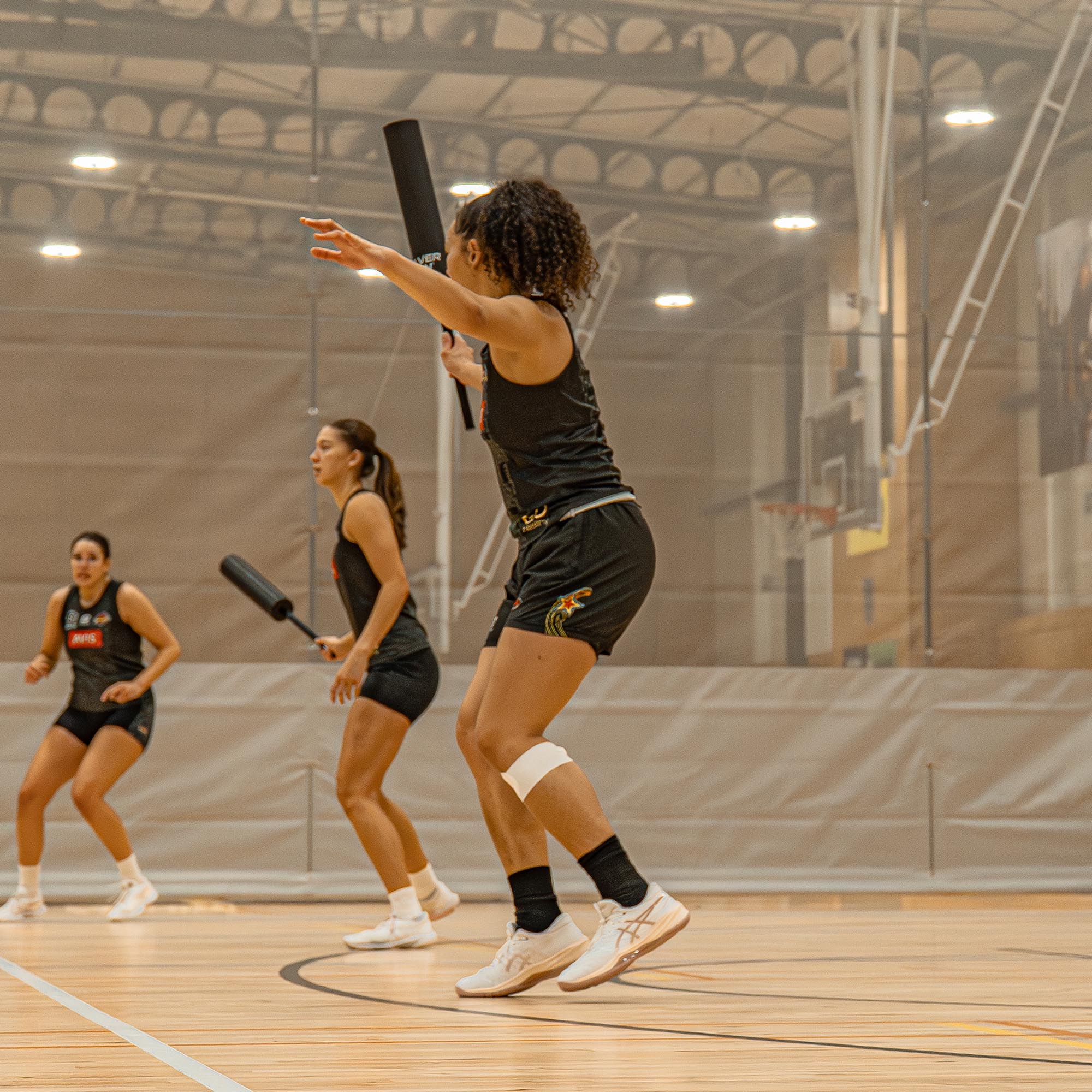 Silver Fern Interference Sticks (Pair)