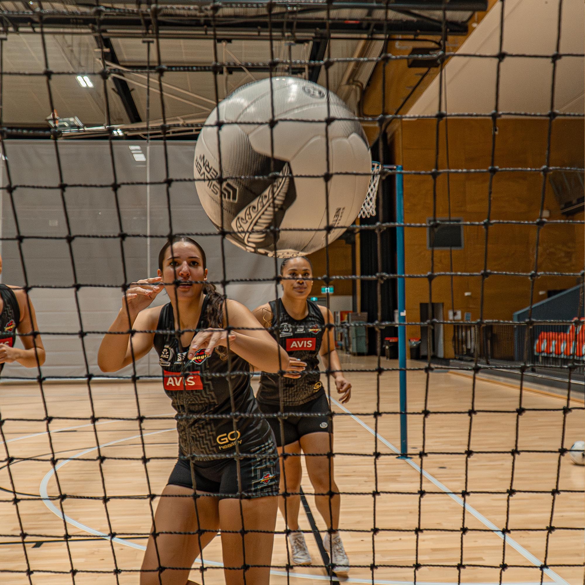 Silver Fern Rebounder Net