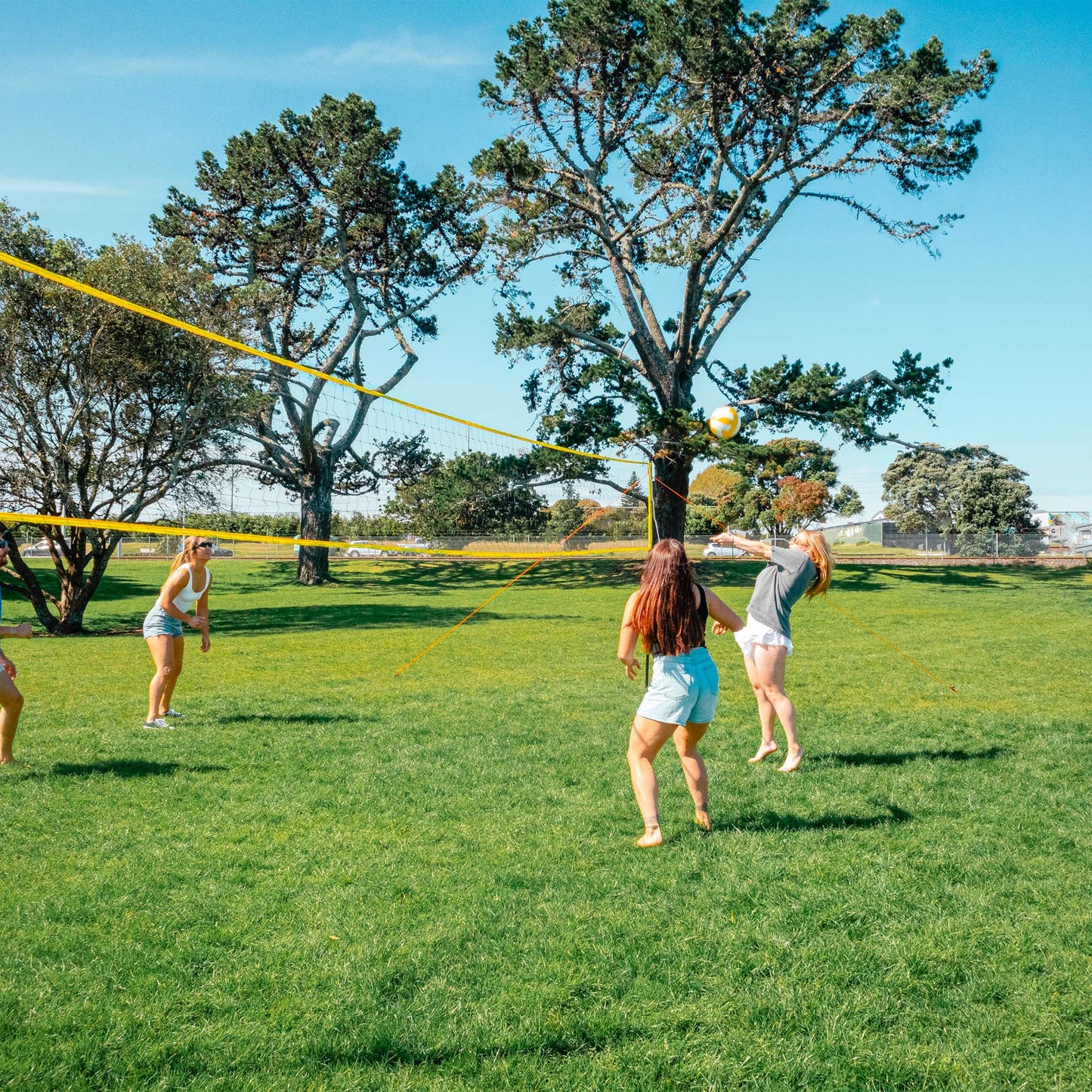 Volleyball Set with Net